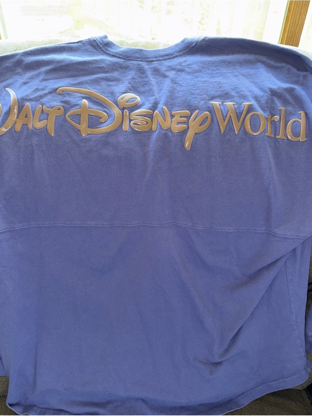 Walt Disney World 50th Anniversary Spirit Jersey For Adults XXLarge - Picture 4 of 5